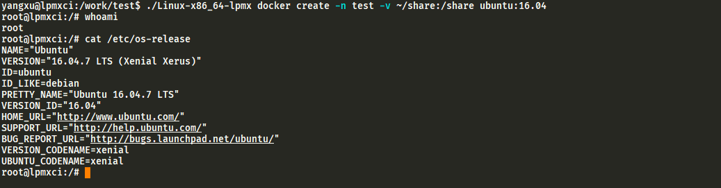 lpmx docker create