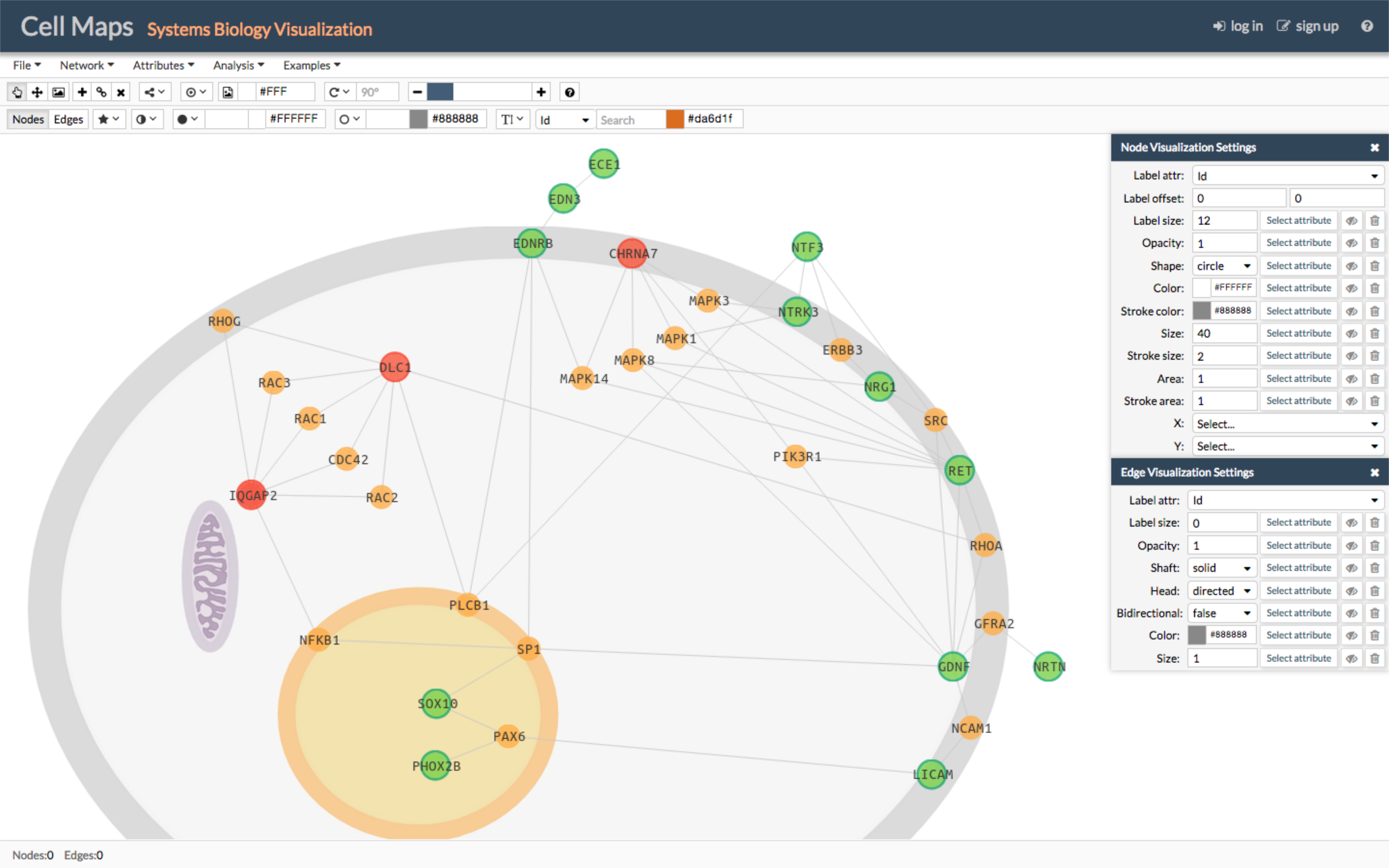 Hirschsprung's disease network