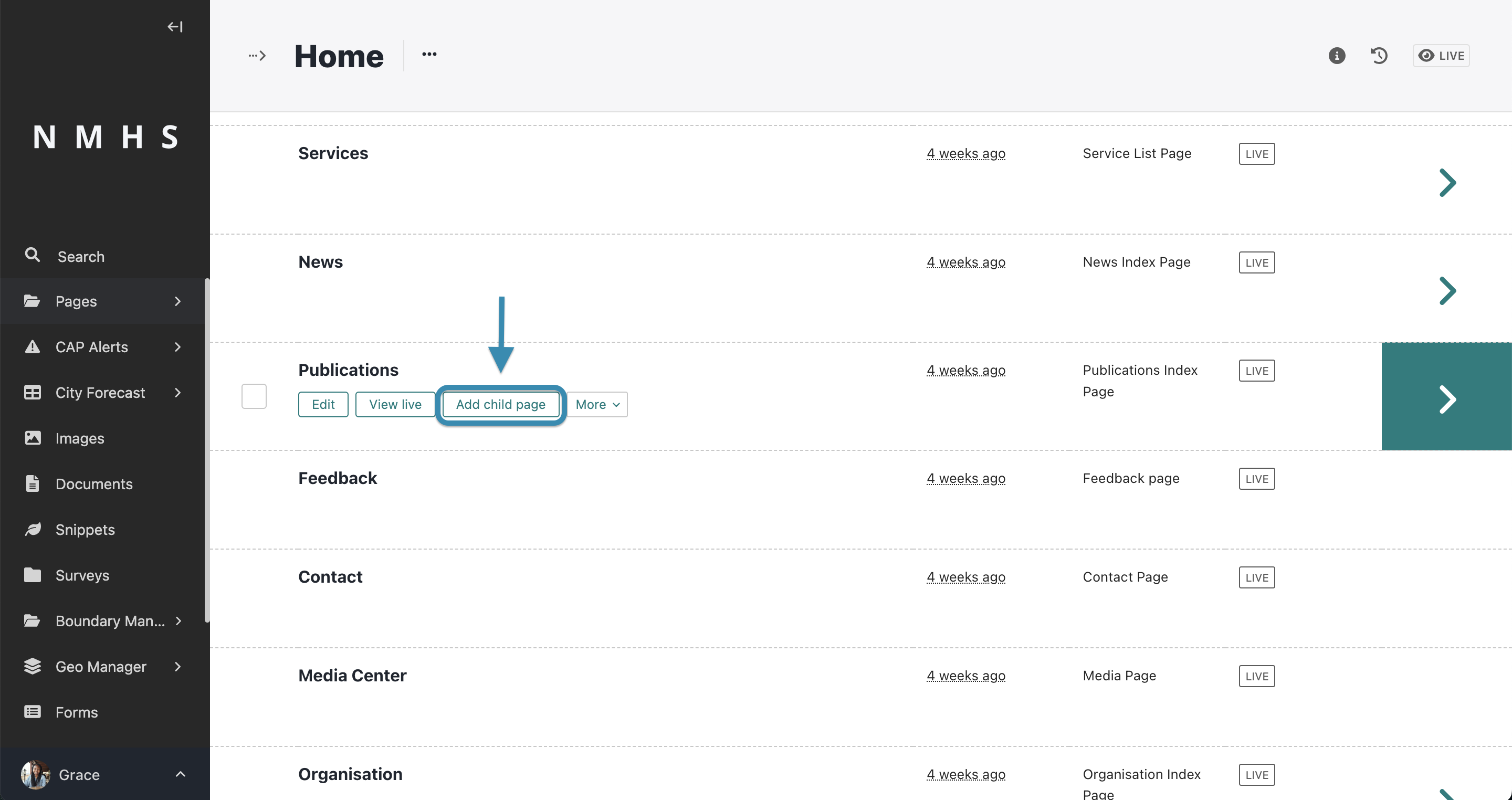 Add Publication Page